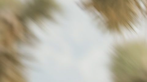 Nissan Frontier 2021
