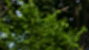 Ford Bronco Eruption Green Metallic