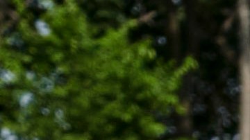 Ford Bronco Eruption Green Metallic