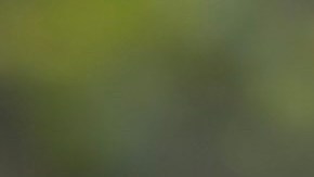 Nuevo filtro de aire Ford Refresh95. / Foto: Cortesía Ford.