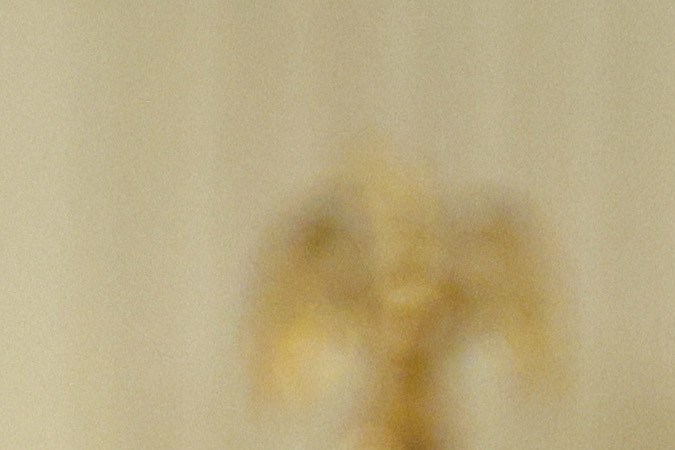 Presidente Joe Biden