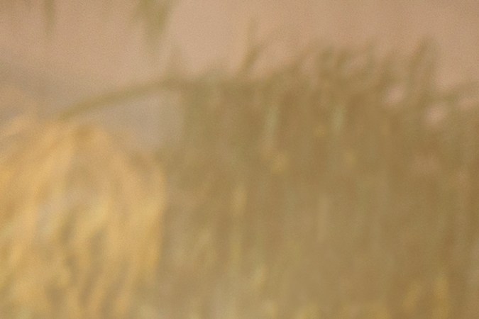 Hyundai Elantra 2021