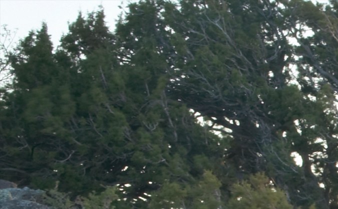 Ram 1500 BackCountry Edition