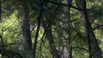 Ram 1500 BackCountry Edition