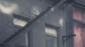 lugar donde polarizan carros cerca de mi