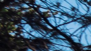 Chevrolet Silverado 2018