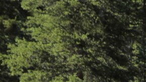 Chevrolet Silverado High Country 2022