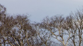 Mitsubishi Outlander 2022