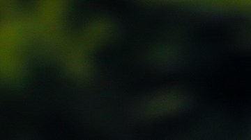 Alfa Romeo Giulia 2021