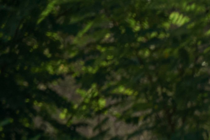 2022 Ford Bronco in Eruption Green