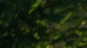 2022 Ford Bronco in Eruption Green