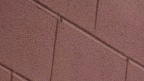 Mustang Mach-E piloto de policía