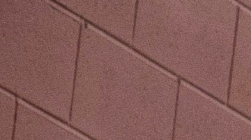 Mustang Mach-E piloto de policía