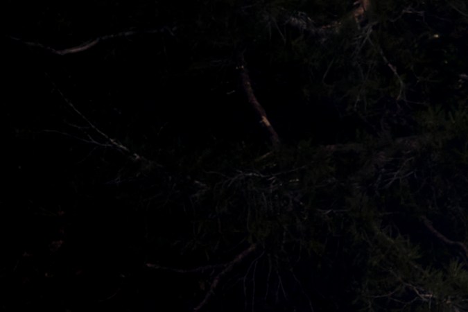 Volkswagen Golf R 2022