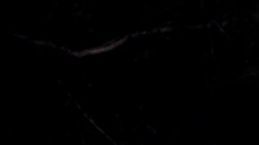 Volkswagen Golf R 2022