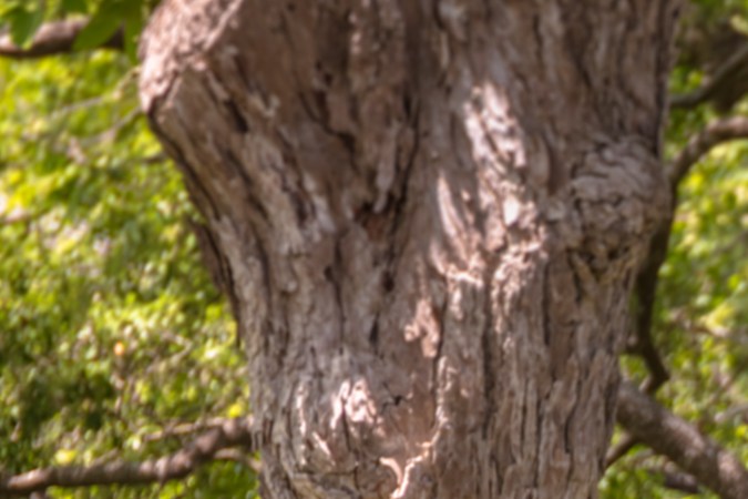 Hyundai Veloster 2021