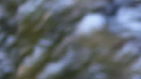 Hyundai Santa Fe 2022