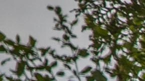 Nissan Pathfinder 2022