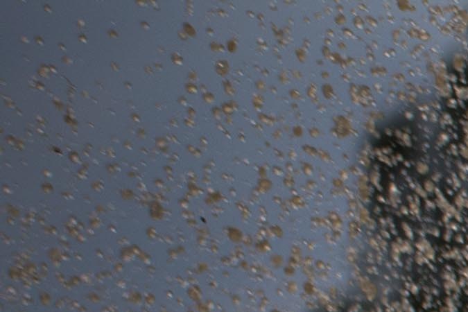 Nissan Pathfinder 2022