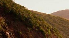 Tesla Model S autopiloto Los Ángelez