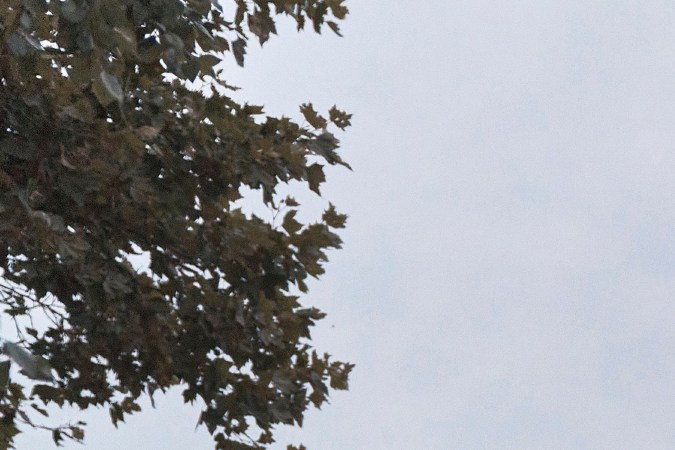 Jeep Grand Wagoneer 2022