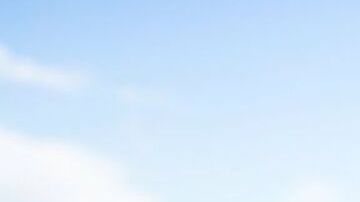 perro a bordo de un automóvil