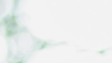 Rines y llantas limpios