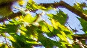 Leyes particulares en los EE.UU.