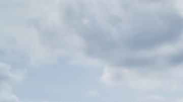 Honda civic Type R camuflado