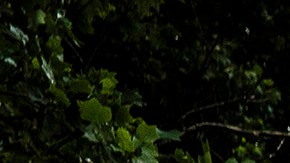 2016 Chevrolet Corvette Grand Sport