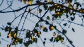 Chevrolet Silverado 1500 2015