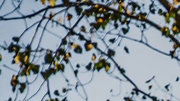 Chevrolet Silverado 1500 2015