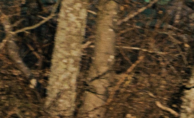 Nissan Leaf Plus 2021