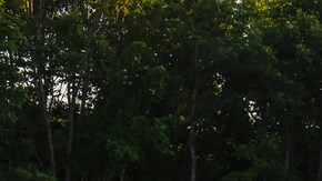 Outlander PHEV 2022.