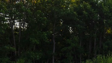 Outlander PHEV 2022.