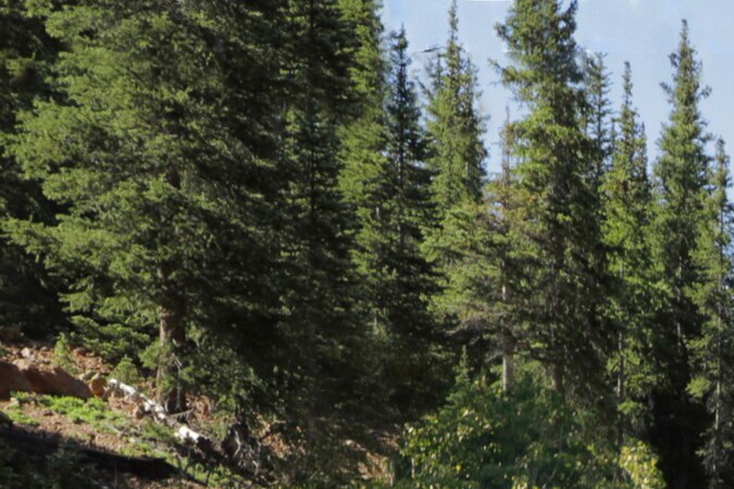 Chevrolet Silverado 2022