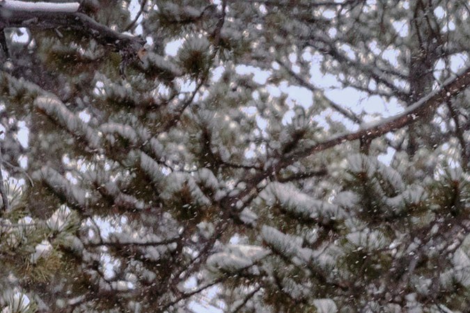 2012 gmc terrain serpentine belt diagram