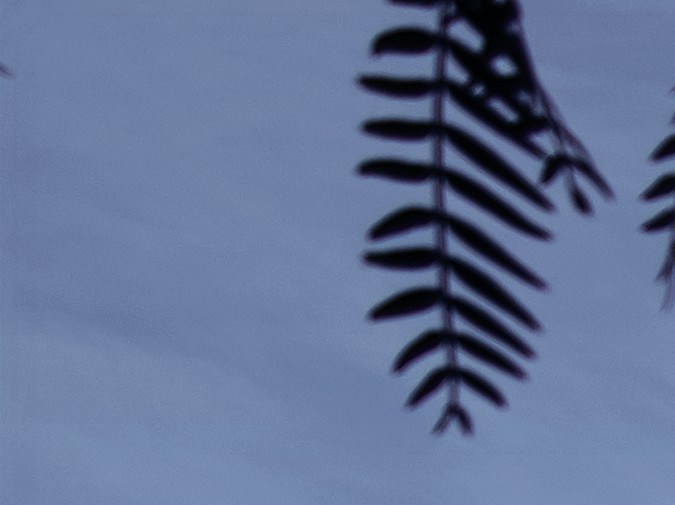 Subaru Forester 2021