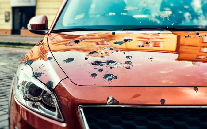 Автомобиль с птичьим пометом