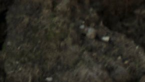 Ford Bronco Eruption Green