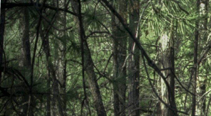 2021 Jeep® Grand Cherokee Trailhawk