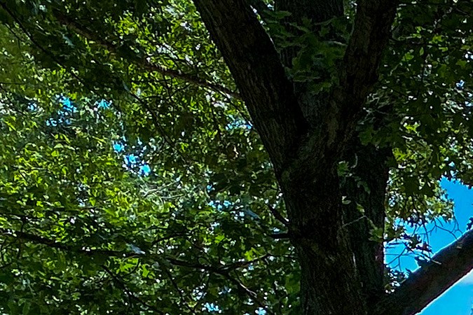 Jeep Grand Cherokee Trailhawk 2021