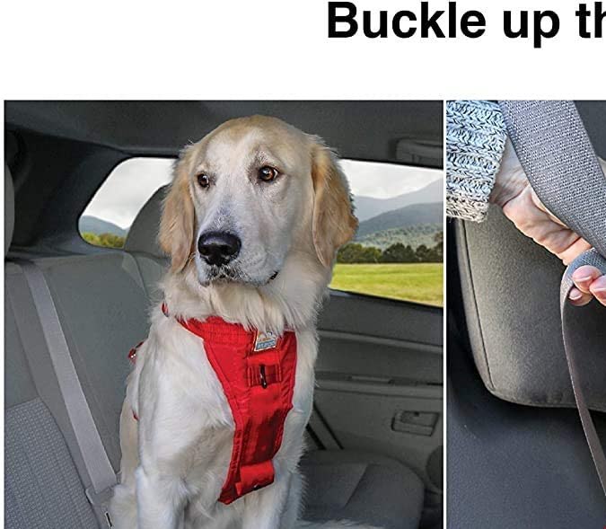 Cinturón de seguridad Kurgo Dog Harness