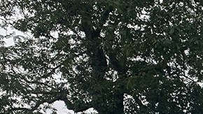 El Lamborghini Huracán STO es un súper deportivo con tecnología de auto de carreras en auto legal para la calle.