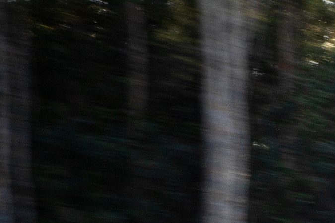 Volkswagen Jetta 2021