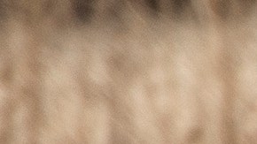 Hyundai Santa Fe 2015