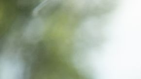 Reporte de conducción