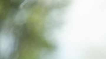 Reporte de conducción