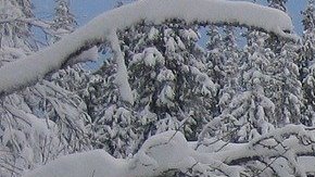 Auto sobre la nieve