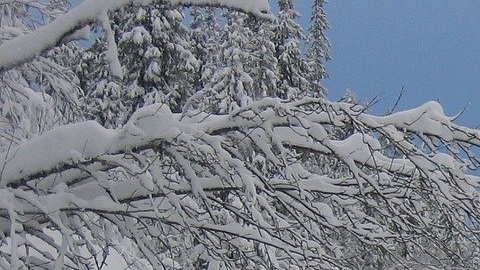 Auto sobre la nieve